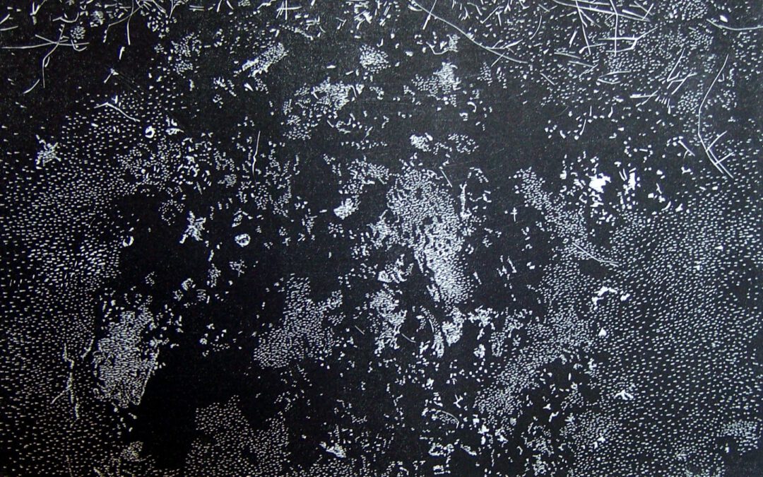 Feuerstelle II – 2008